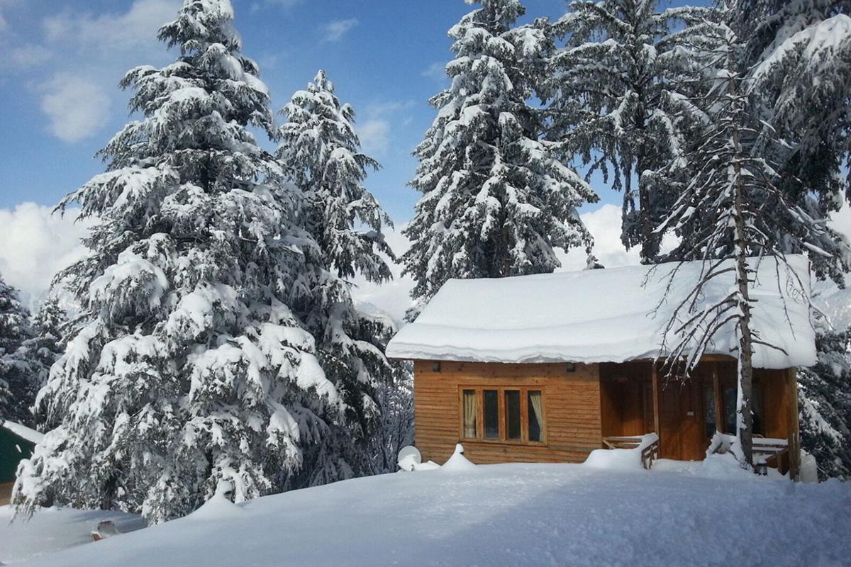 Hotel Arcadian Sprucewoods Shogran Exterior foto